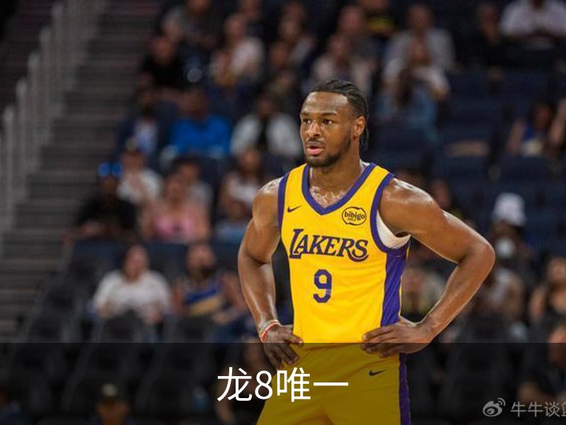 龙8唯一简介